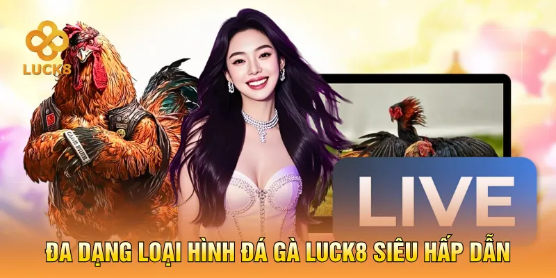 Đa dạng loại hình đá gà LUCK8 siêu hấp dẫn